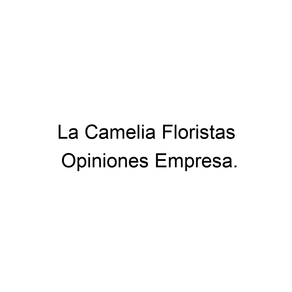 Opiniones La Camelia Floristas, Almansa ▷ 967340781